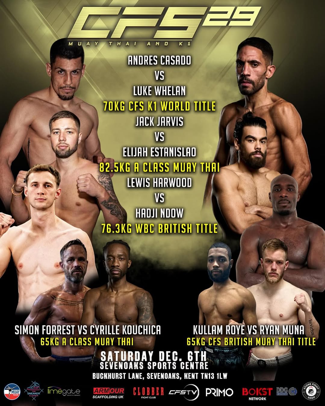 Combat Fight Series 29 poster