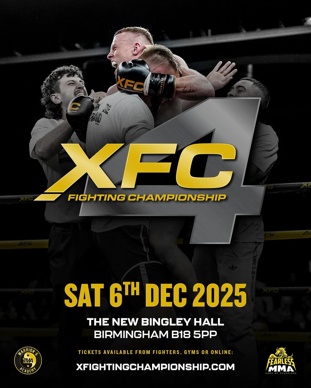 X Fighting Championship 4 poster