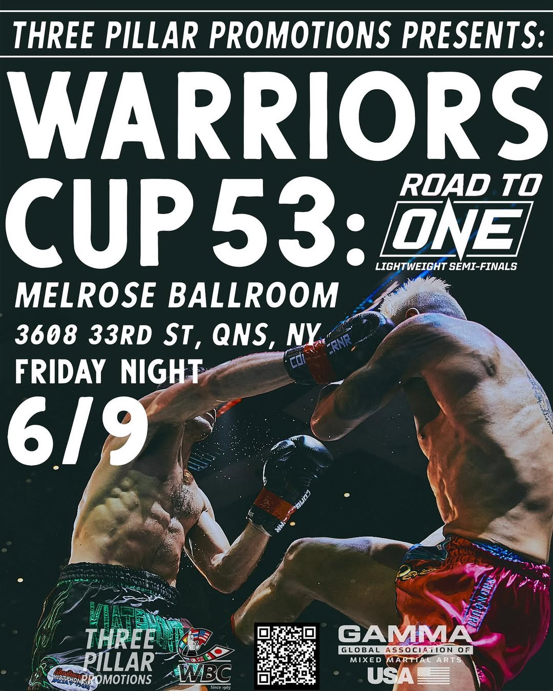 Warriors Cup 53 poster
