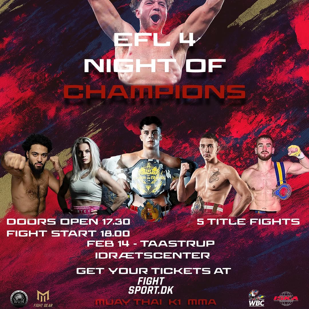 Elite Fight League 4 poster