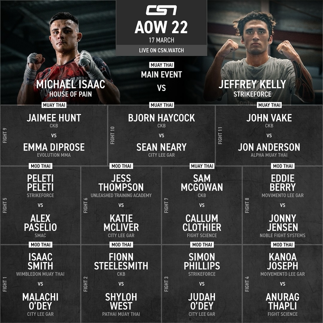The Art Of War 22 poster