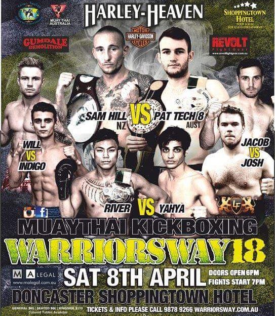 Warriors Way 18 poster