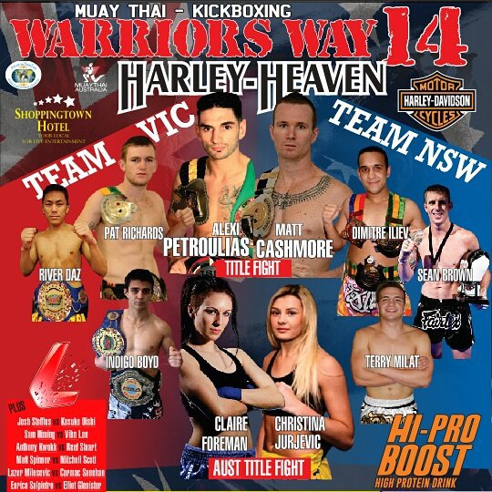 Warriors Way 14 poster