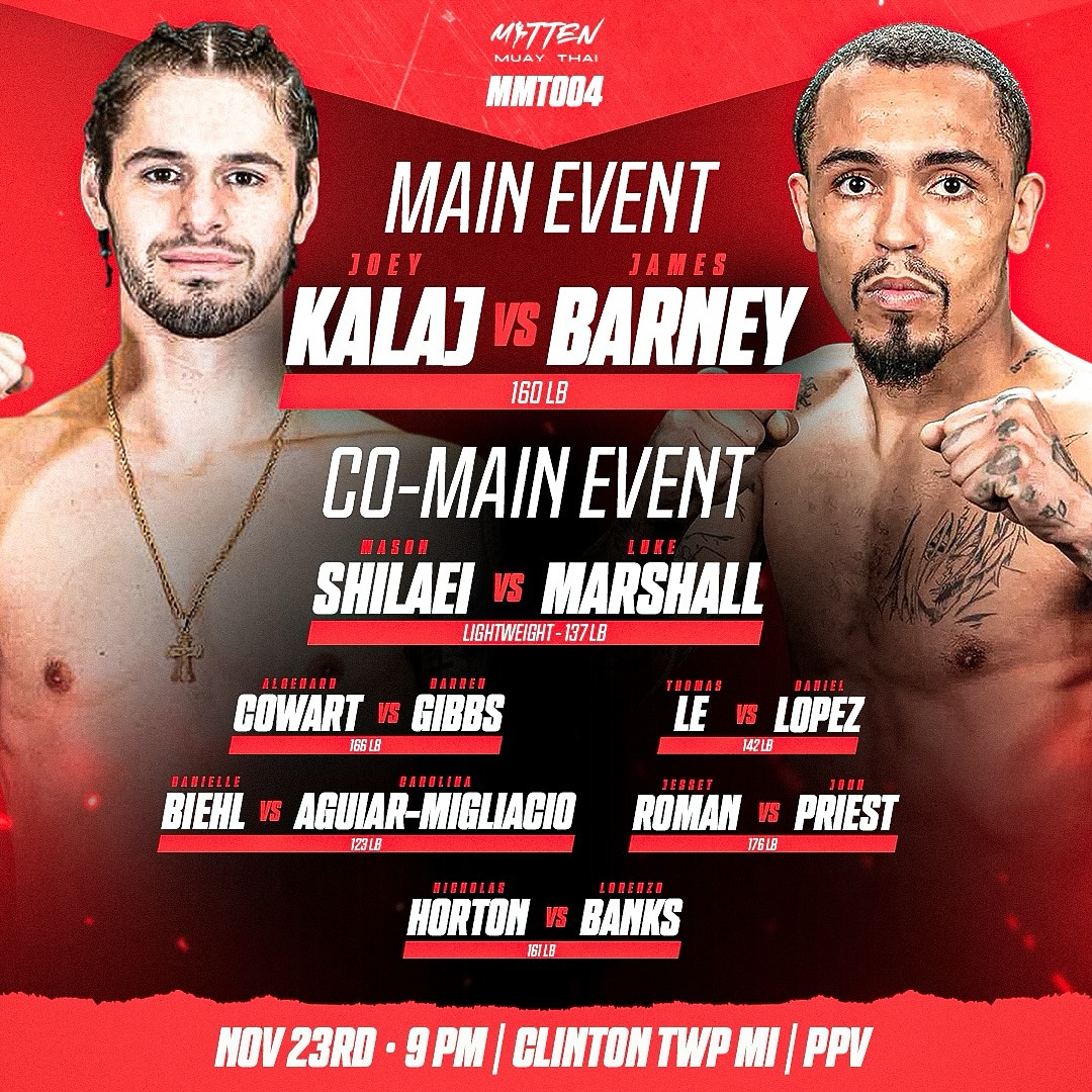 Mitten Muay Thai 4 poster