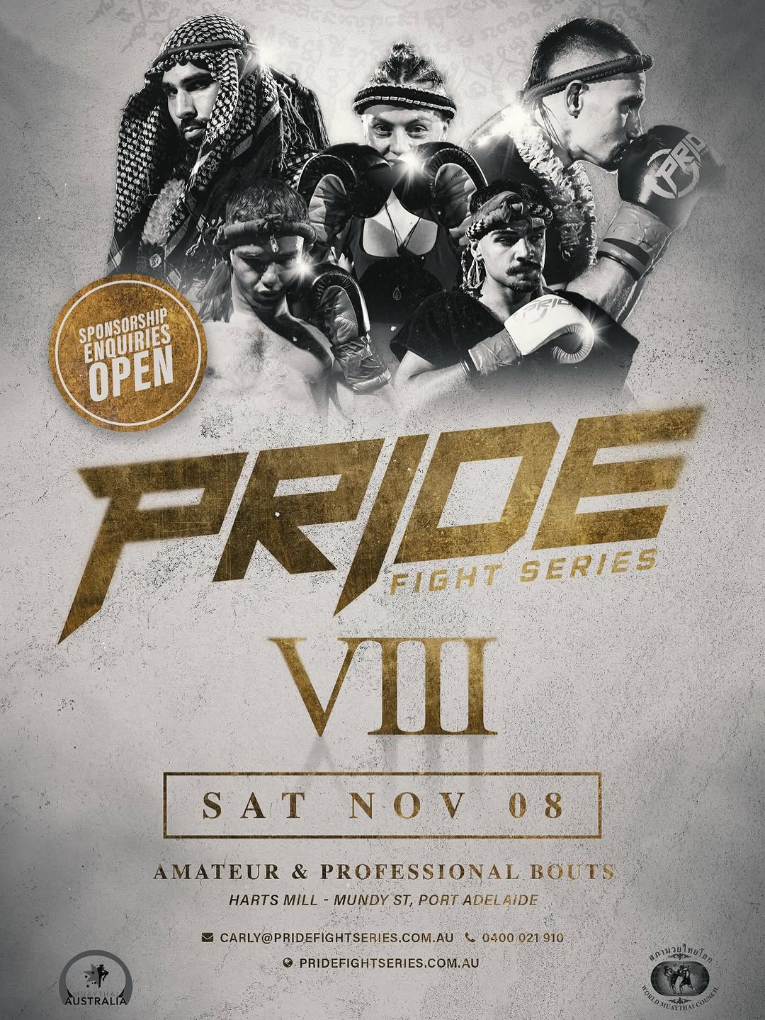 Pride Fight Series 8 poster
