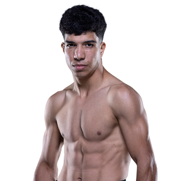 Mohanad Battbootti