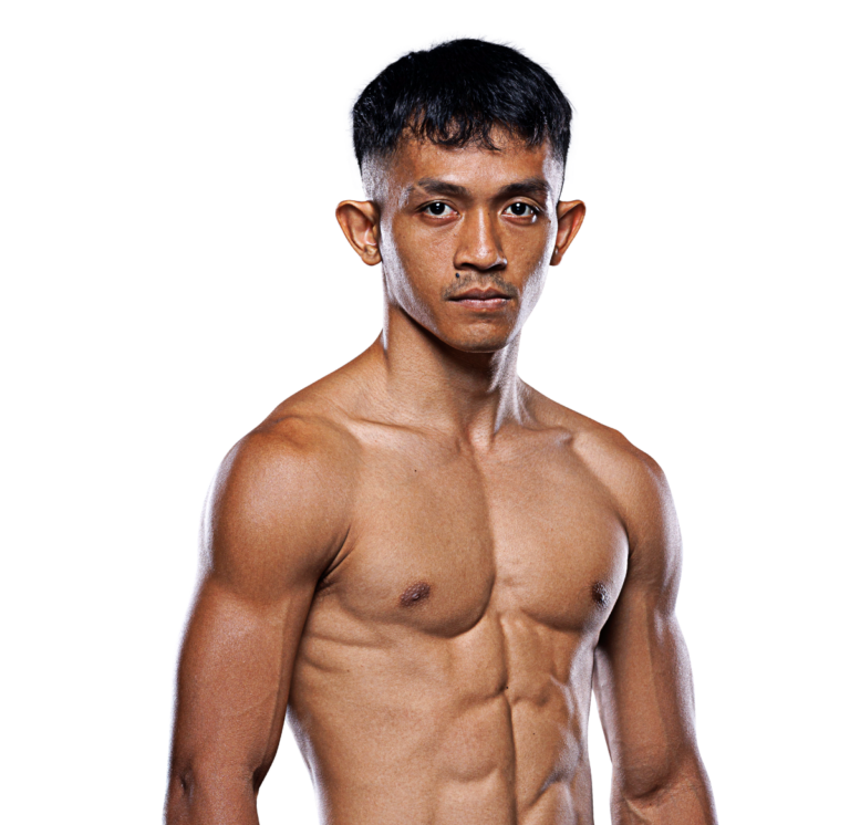 Delfan Dwi Satrio