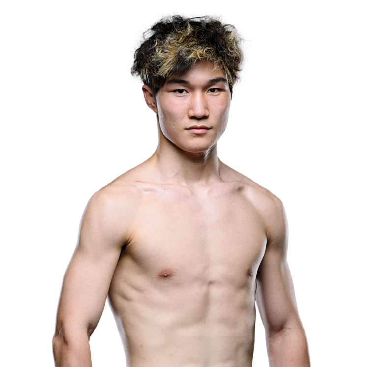 Hong Chengzhi