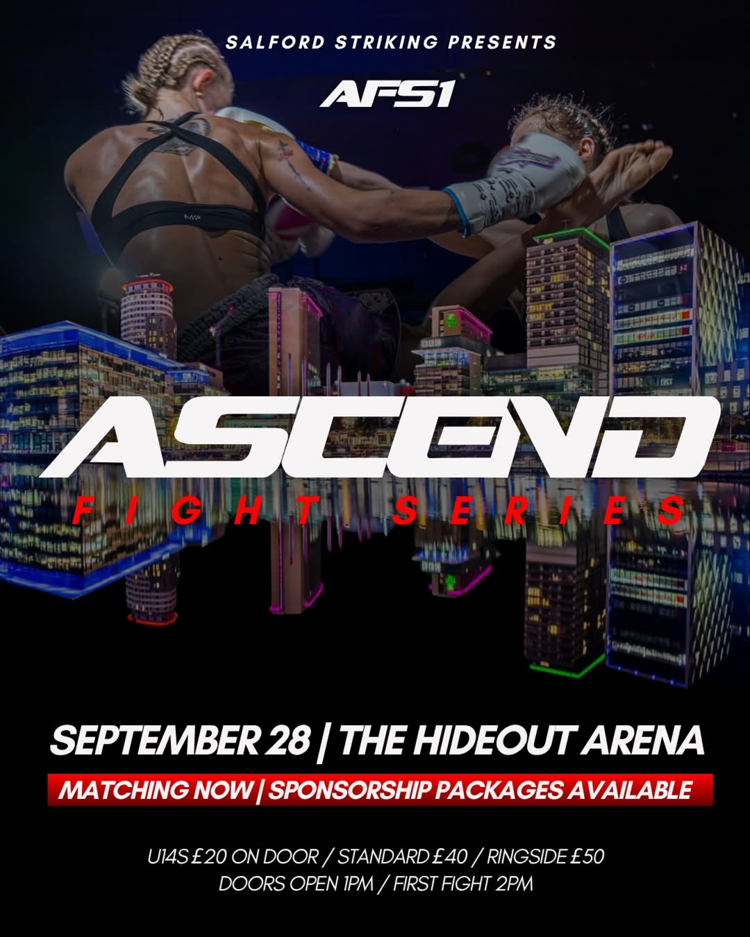Ascend Fight Series 1 poster
