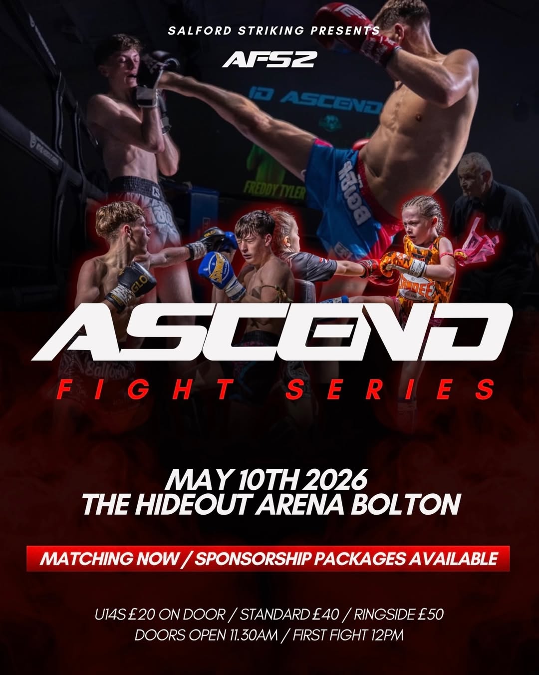 Ascend Fight Series 2 poster