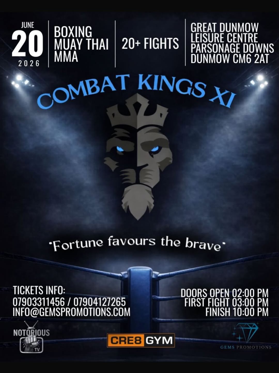 Combat Kings 11 poster