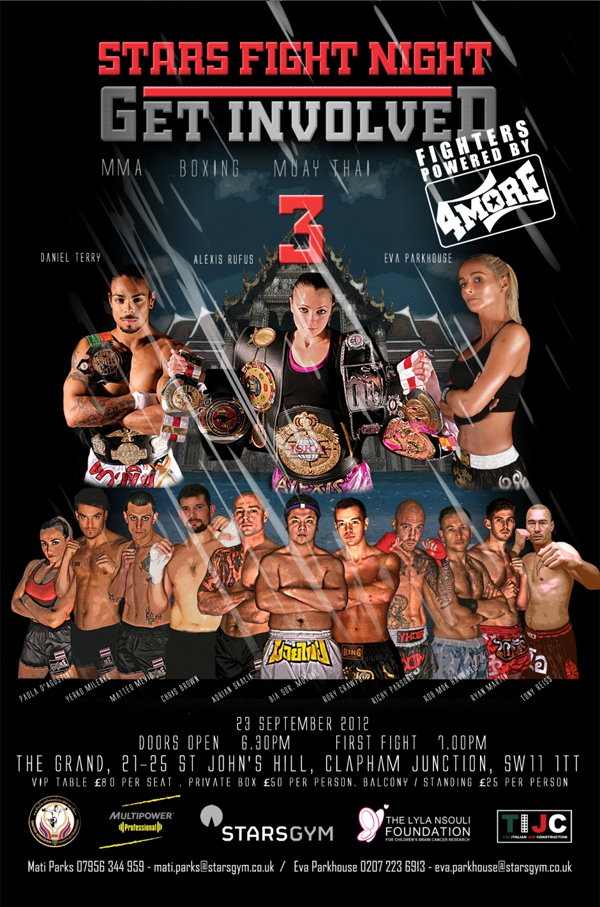 Stars Fight Night 3 poster