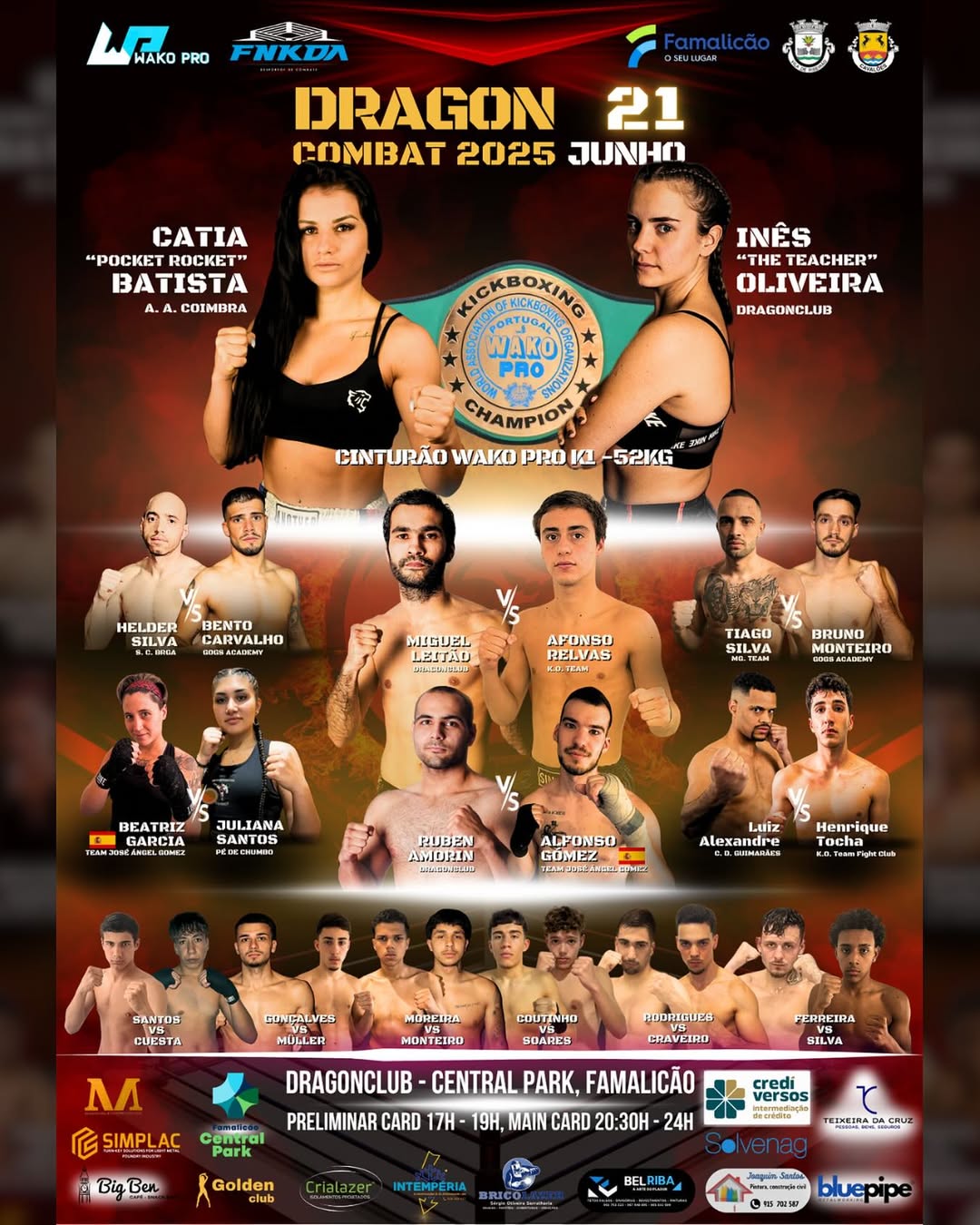 Dragon Combat 1 poster