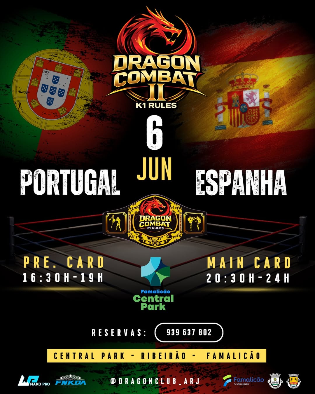Dragon Combat 2 poster