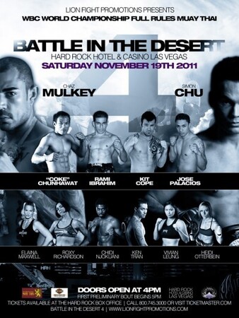 Lion Fight 4 poster
