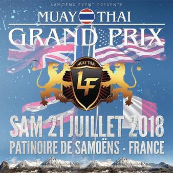 Lion Fight 44 poster