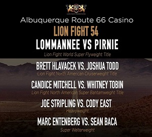 Lion Fight 54 poster