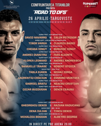 Road To DFS (26.04.2024) poster