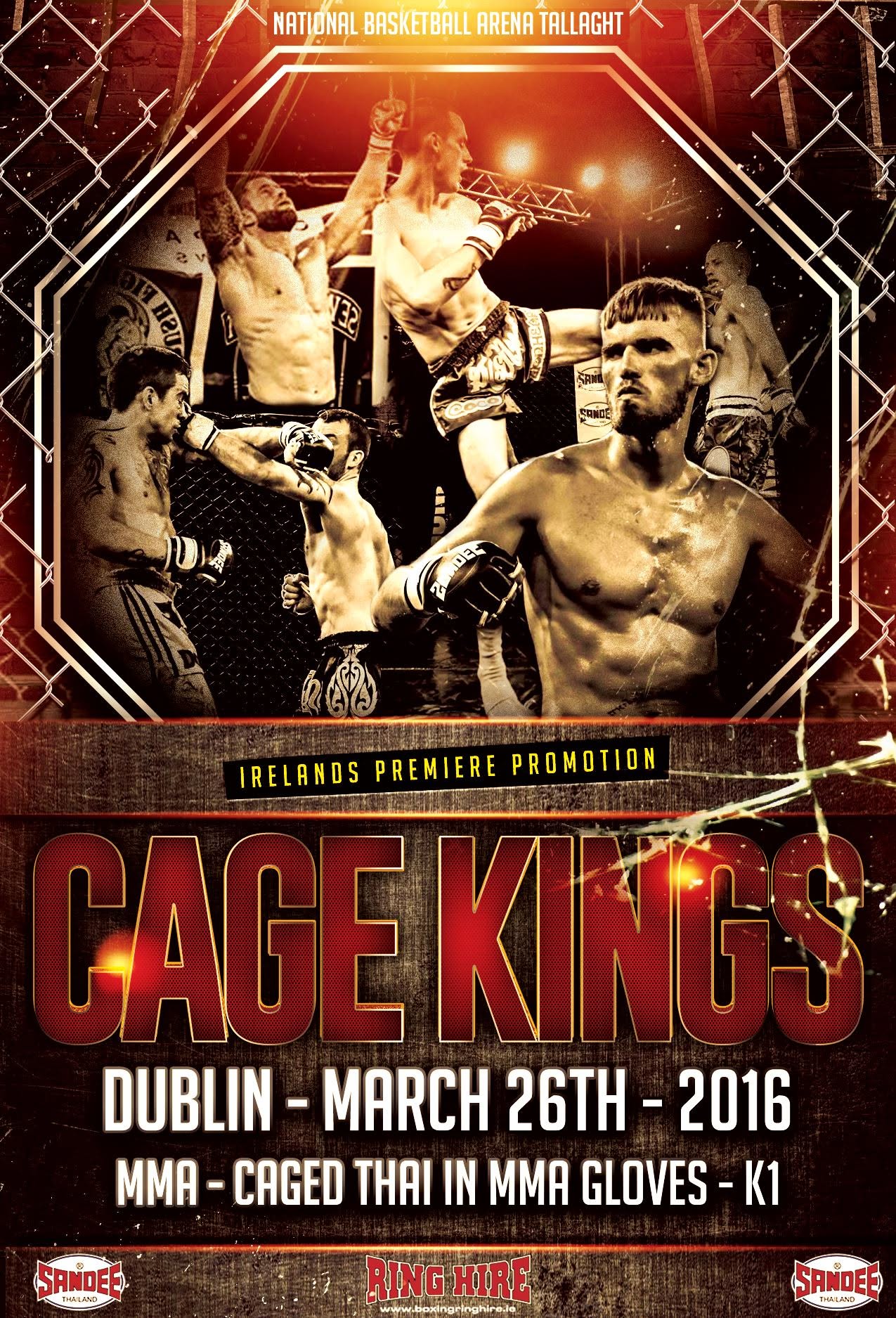 Cage Kings: Dublin 2 poster