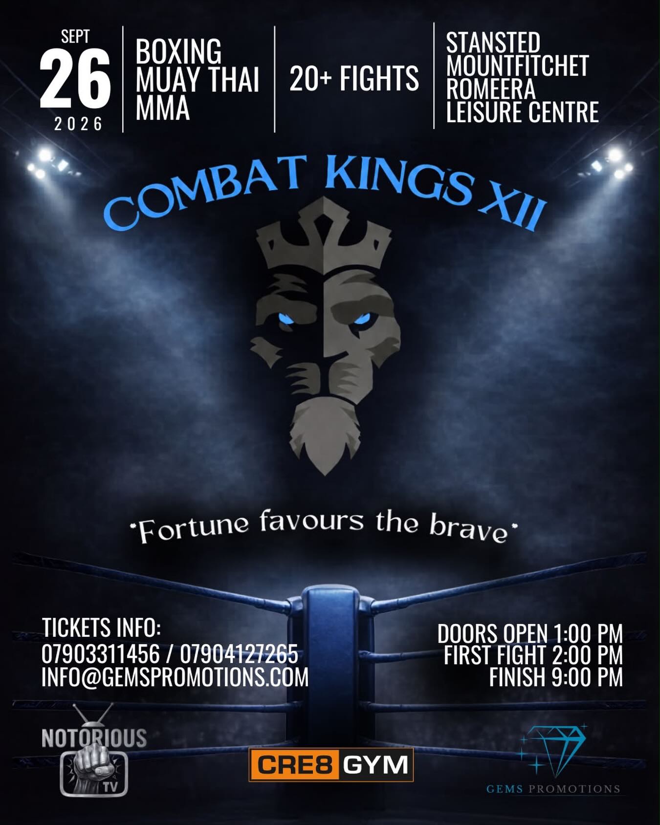 Combat Kings 12 poster