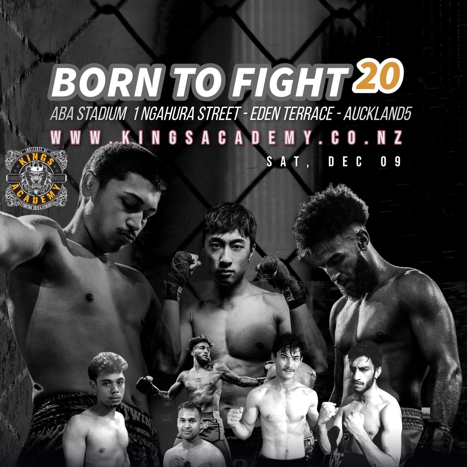 Born to Fight 20 poster