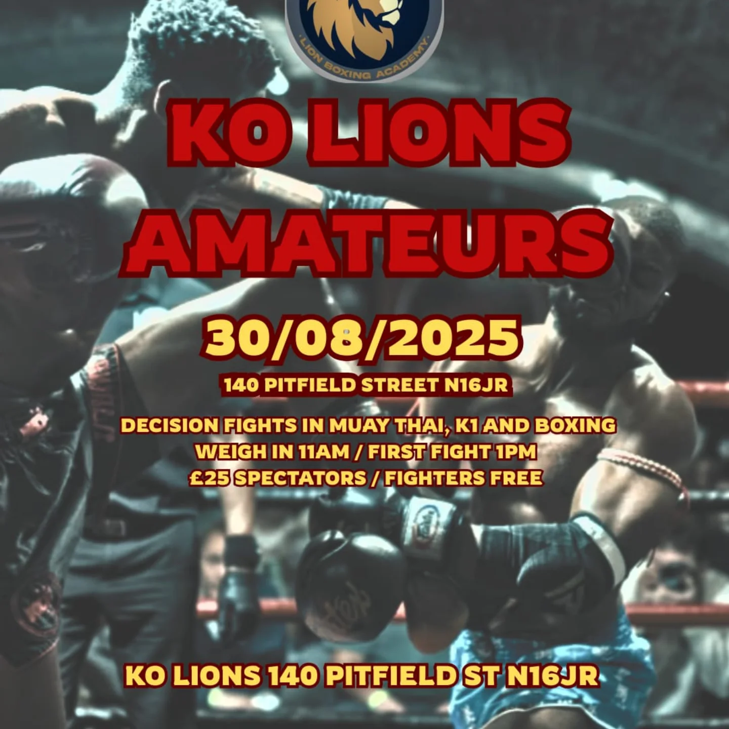 KO Lions Amateurs (30.08.25) poster