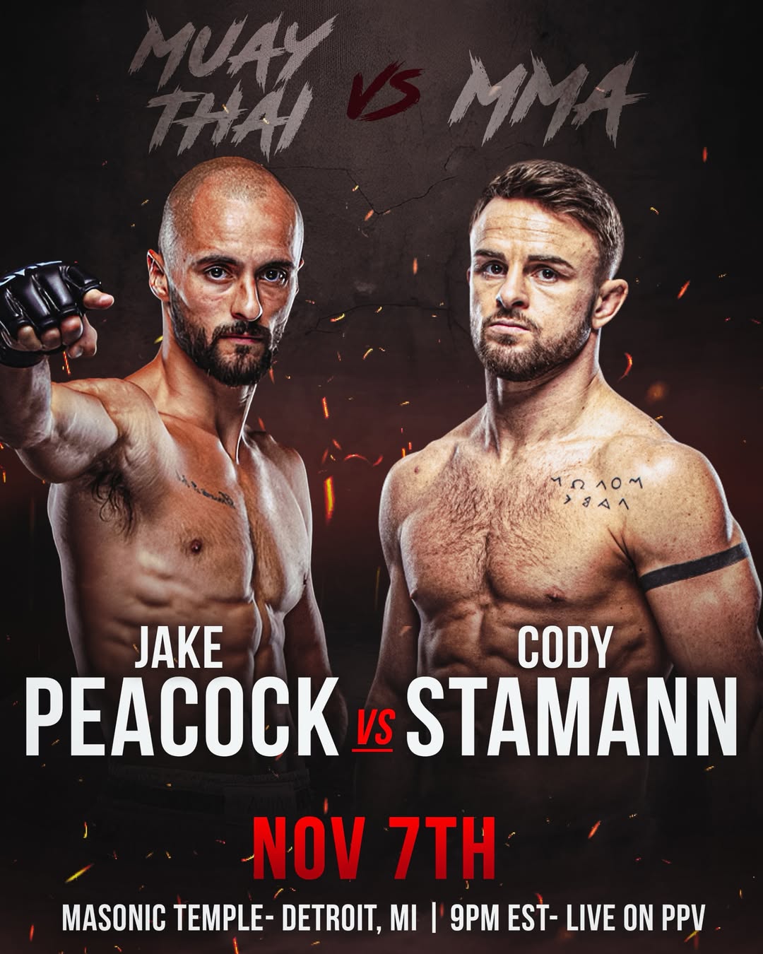 Mitten Muay Thai 11 poster