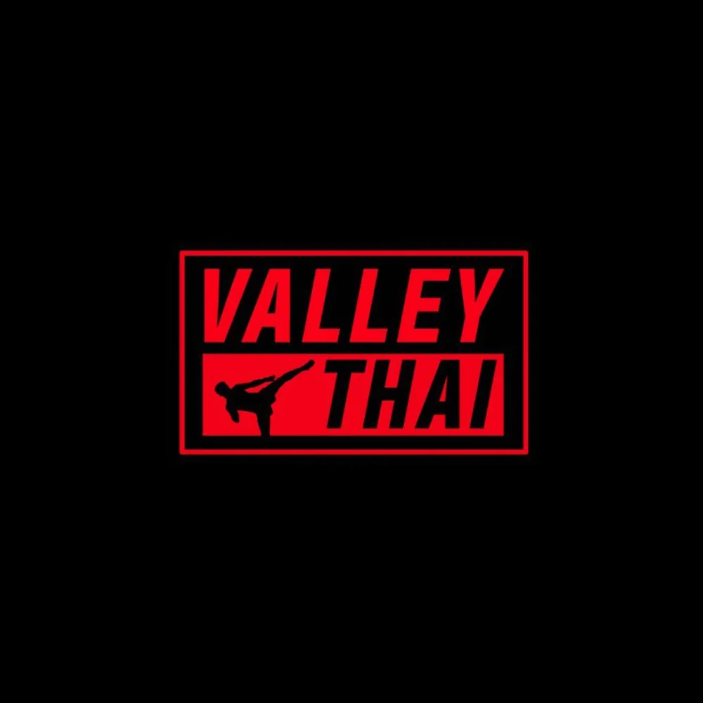 Valley Thai Fight Night logo