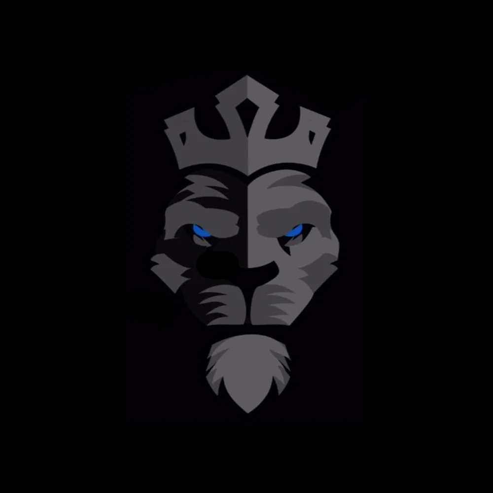 Combat Kings