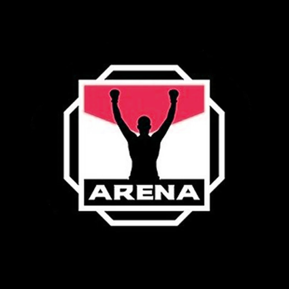 Arena Kickboxing logo