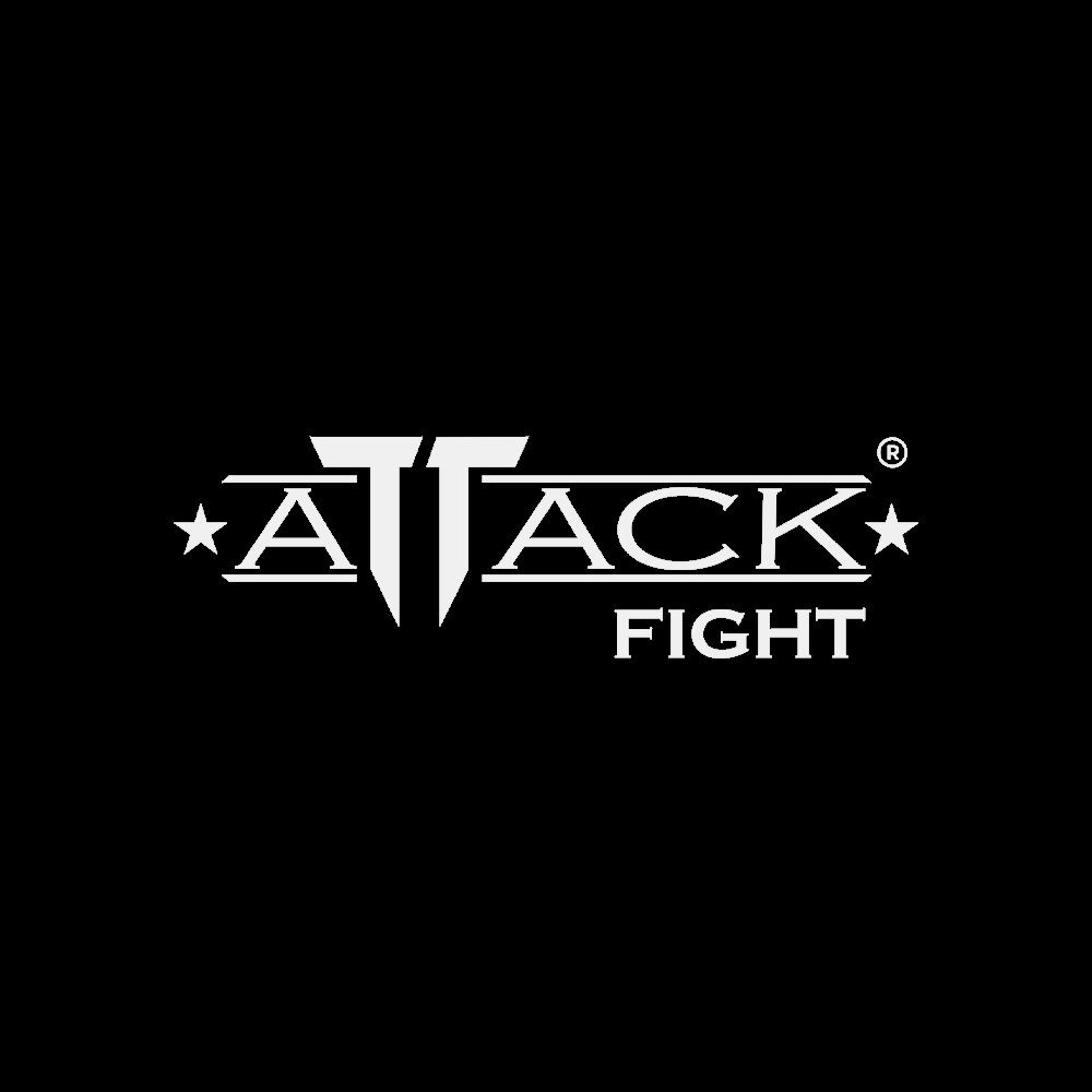 Attack Fight