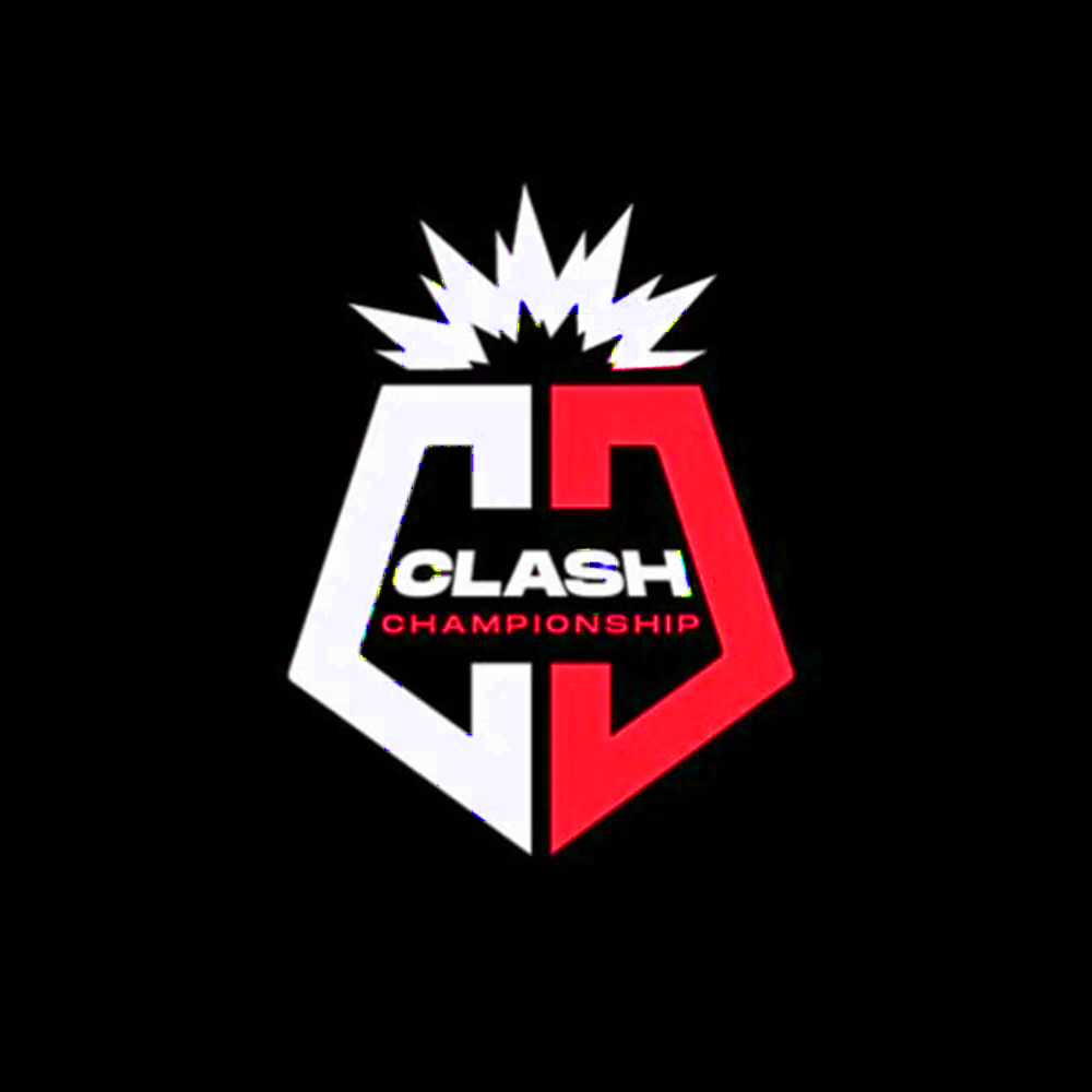 Organiser logo