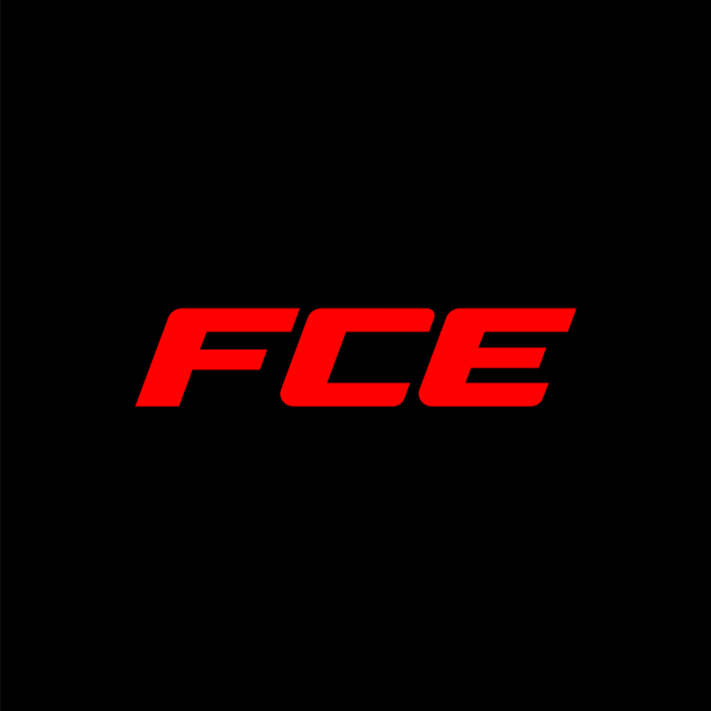 FCE Fights