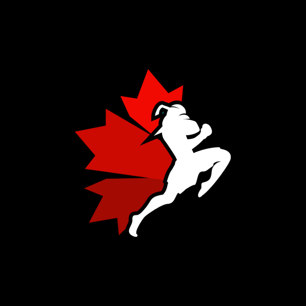 Organizer Logo