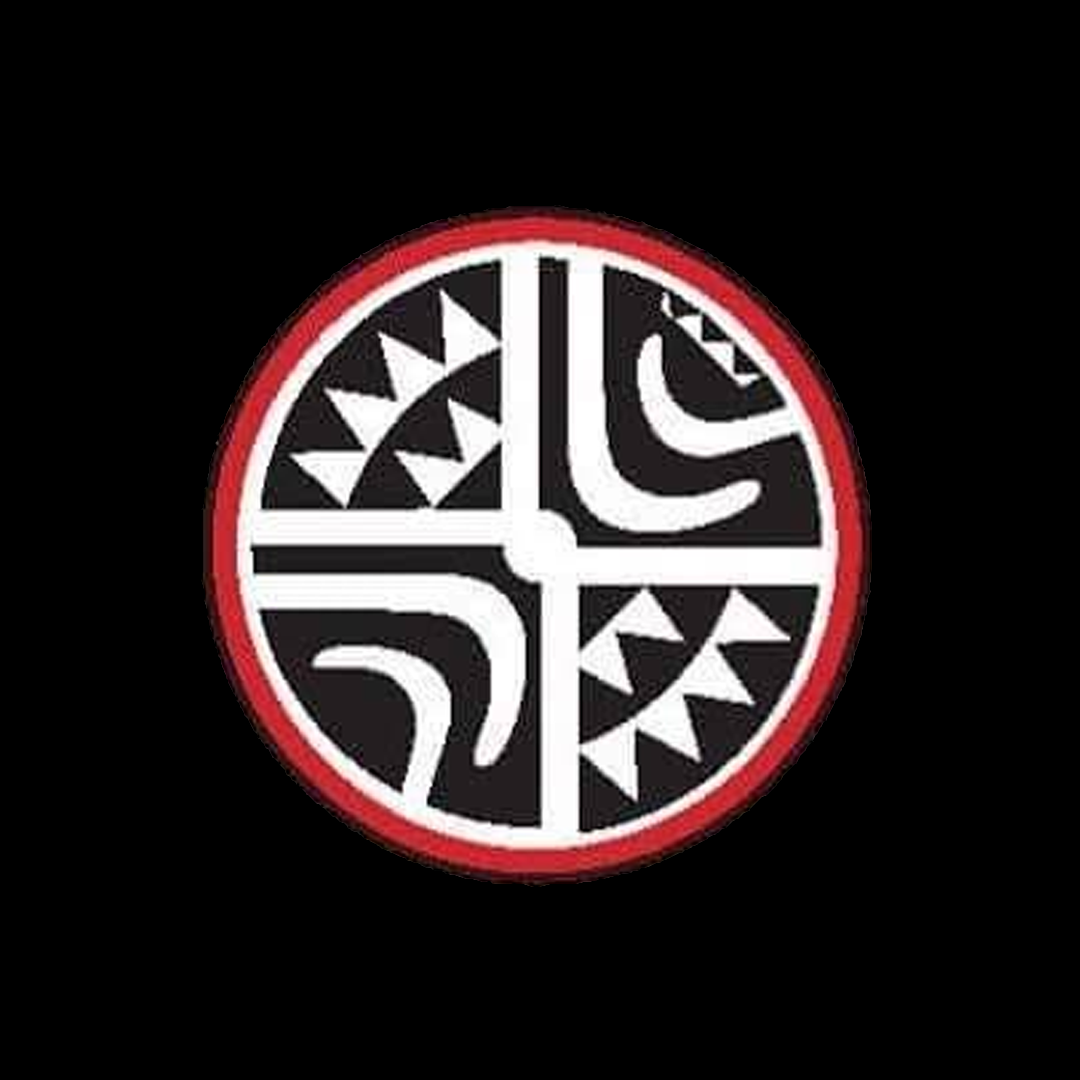 Pacific MMA Promotions logo