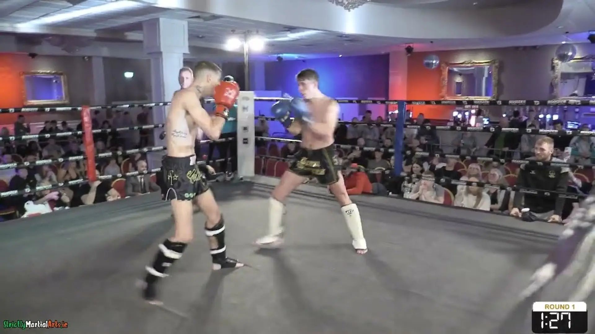 Ewan Dodds vs Cameron Wylie