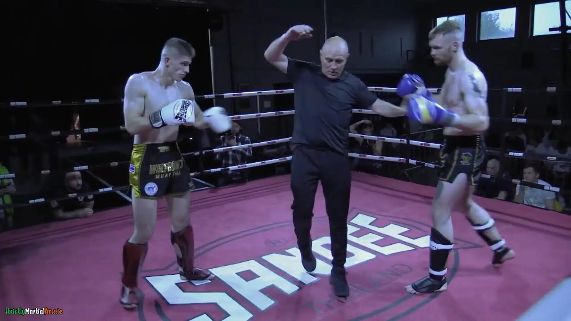 Jamie Harte vs Ruairi Dalton (Fight Video)