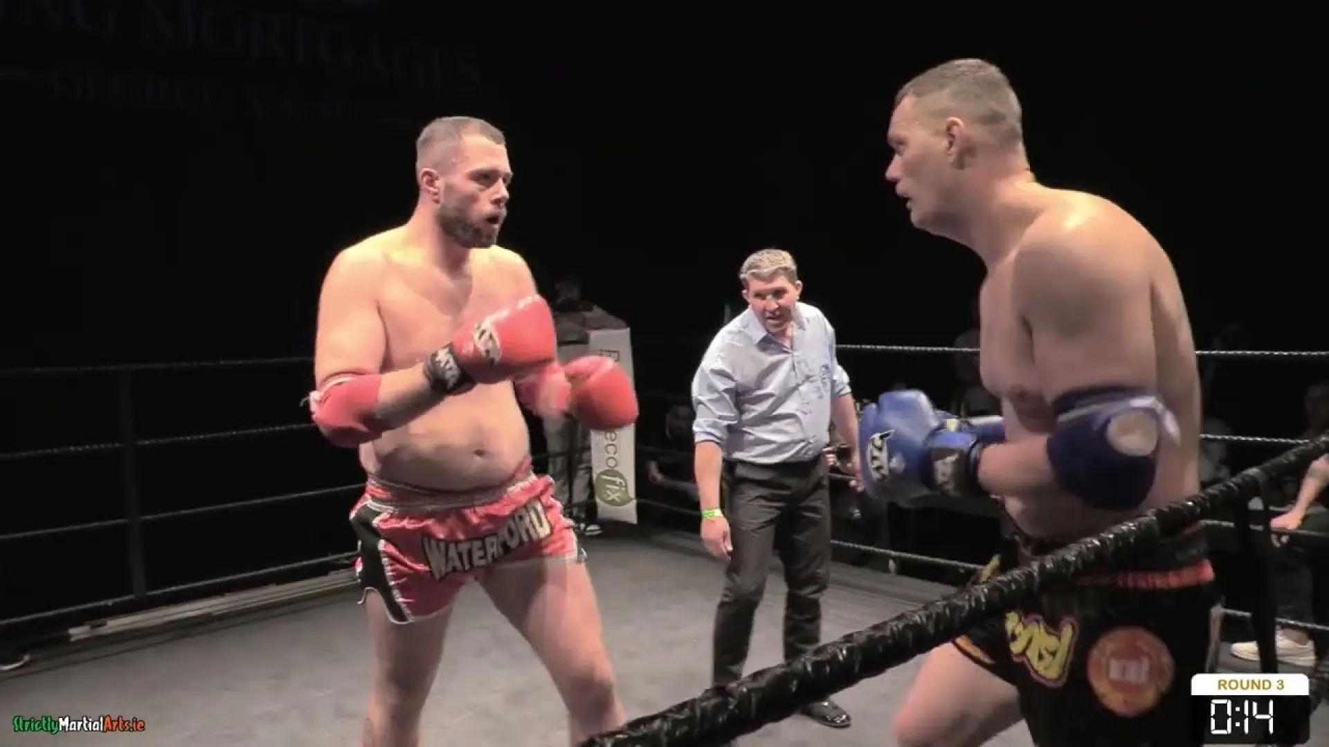 Dylan White (IE) vs Mihai Condrea (Fight Video)