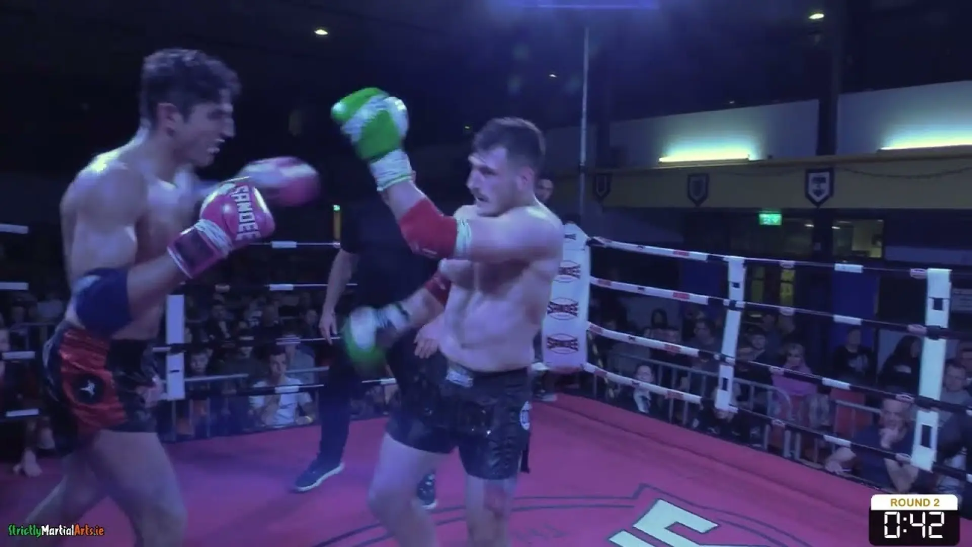 David Fustos vs Hristo Stoev
