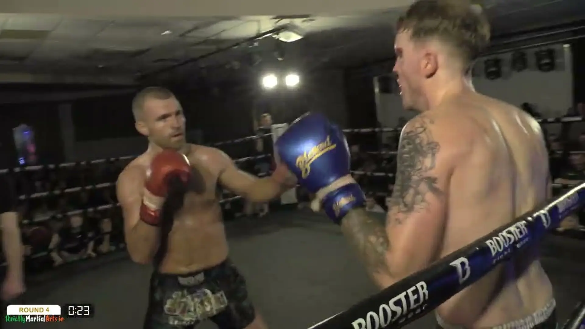 David McLoughlin vs Sean O'Regan (Fight Video)