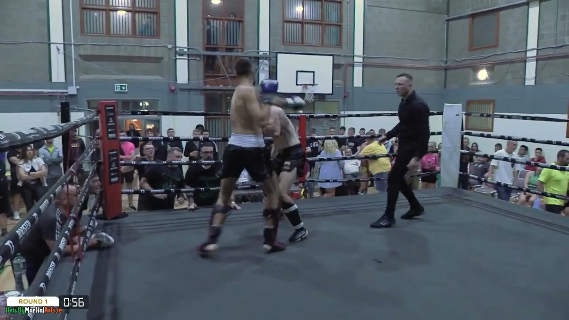 Paddy Nicholson vs Nikola Vidovic (Fight Video)