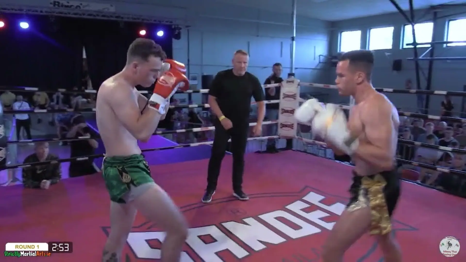 Mark McGahey vs Josh Thomas (UK)