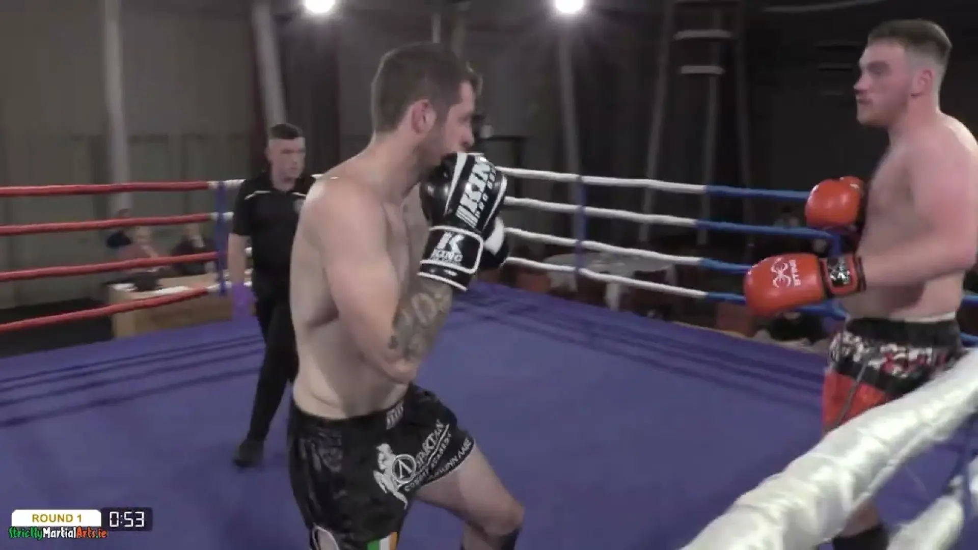 Mitchell Lynch vs Bernard O'Brien (Fight Video)