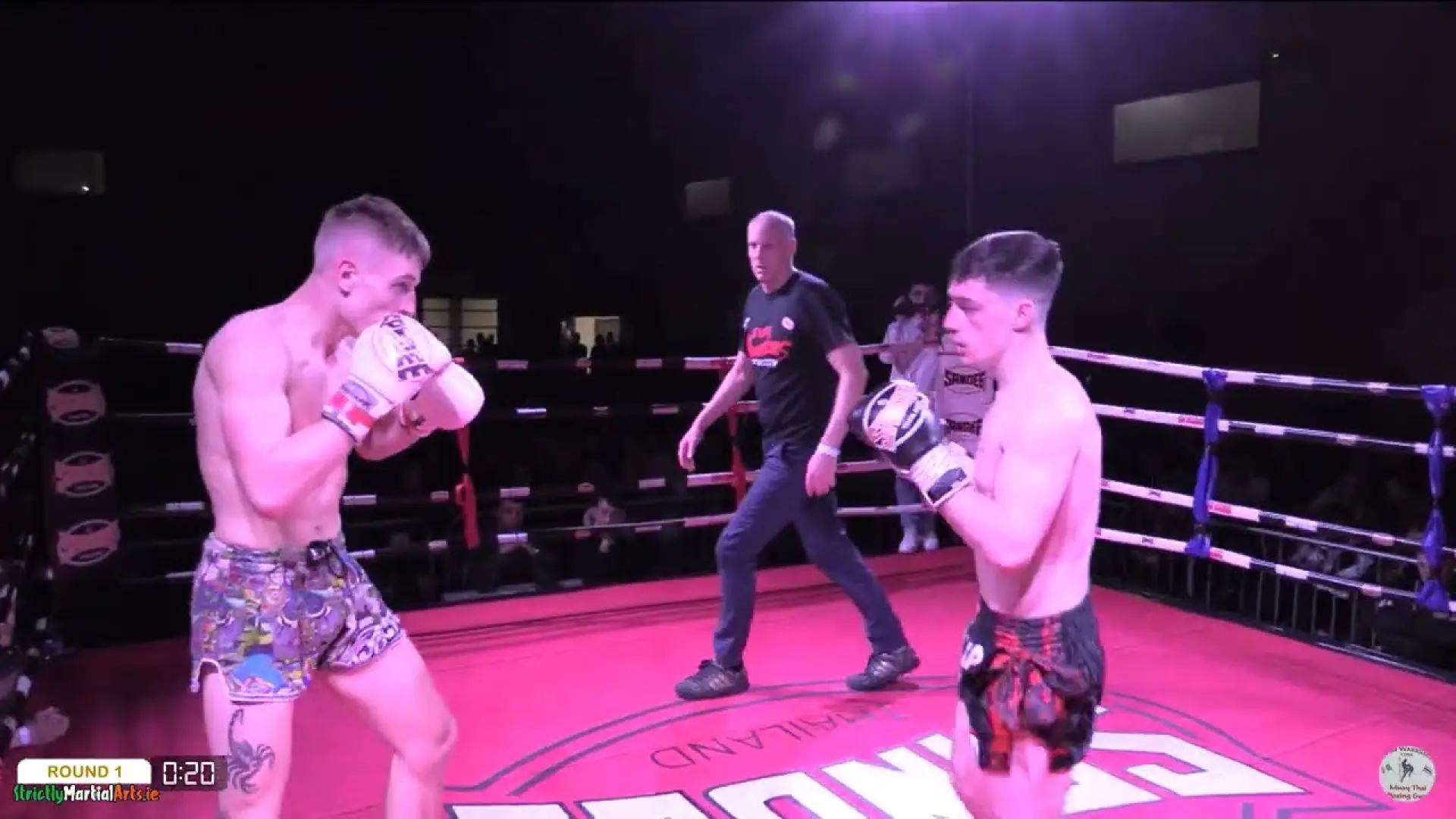 Lee Walton vs Jacob Mikula (Fight Video)