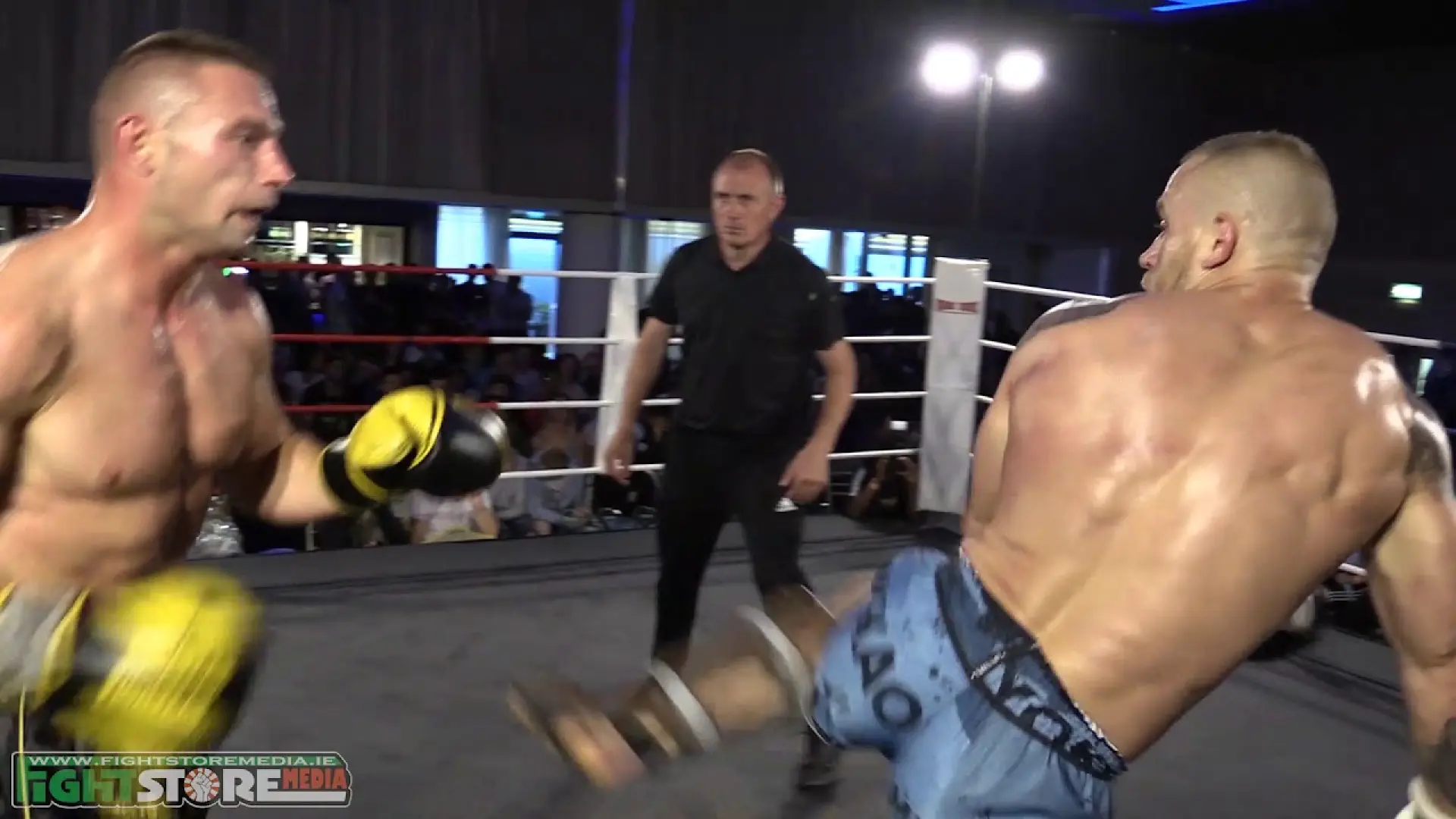 Robertas Stasiulis vs Lukasz Pryba (Fight Video)