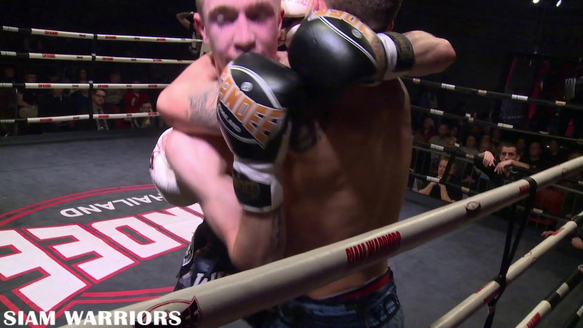 Craig Stone vs Luke Sloley (Fight Video)