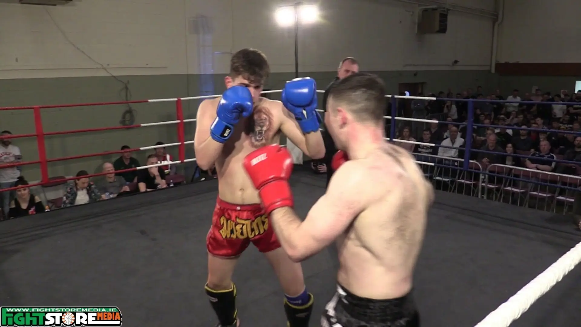 Tommy McDonagh vs Emil Turczyn (Fight Video)