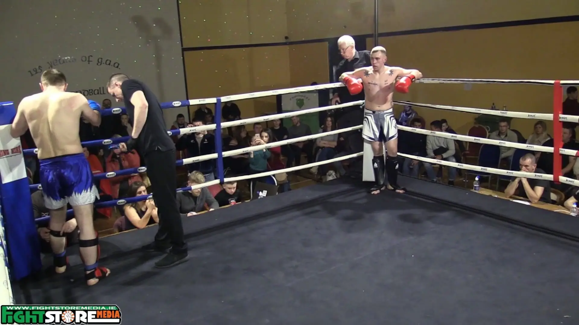Andrei Moraru vs Paul Healy (Fight Video)