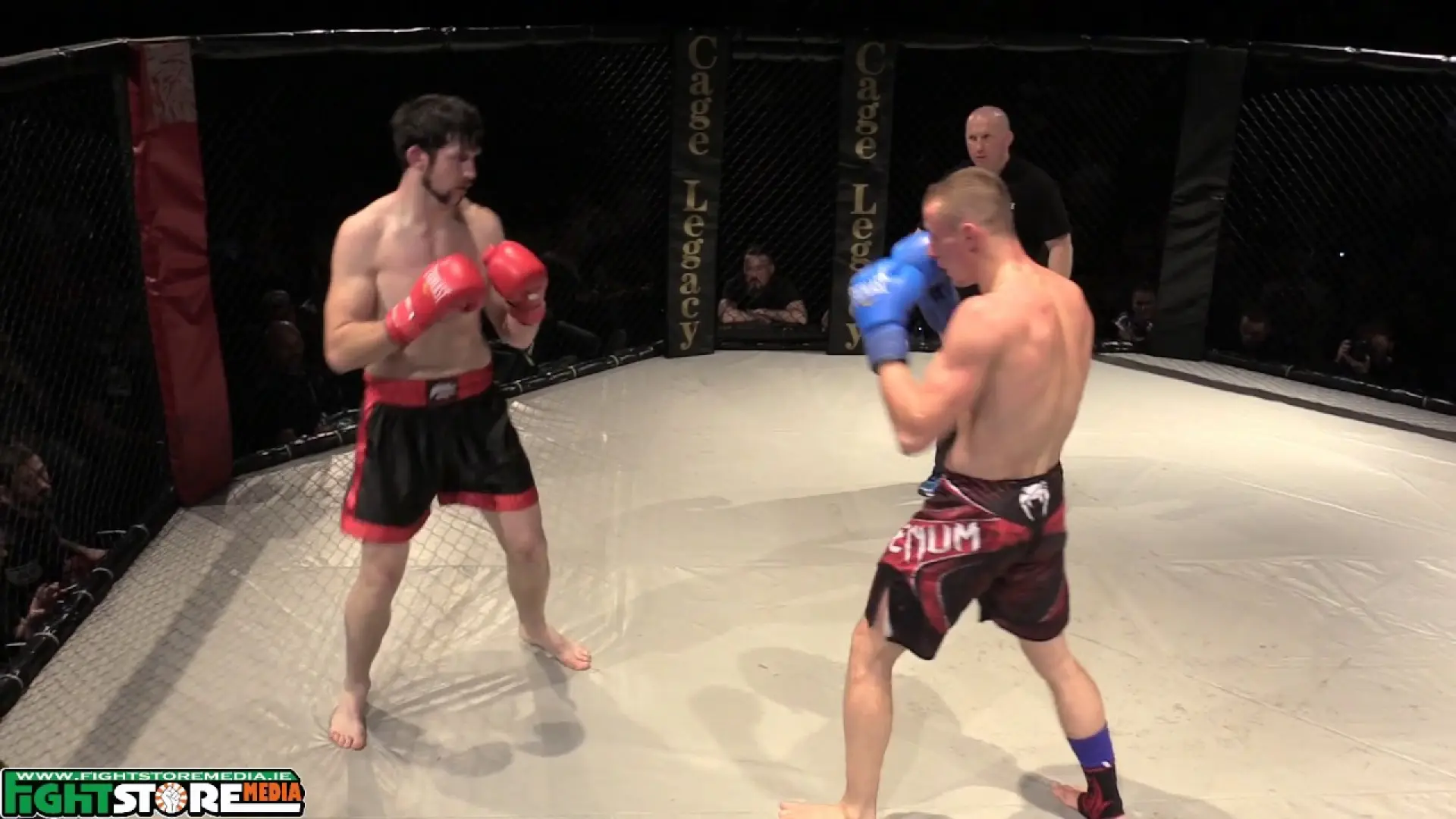 Dawid Blaszke vs Will Fleury (Fight Video)