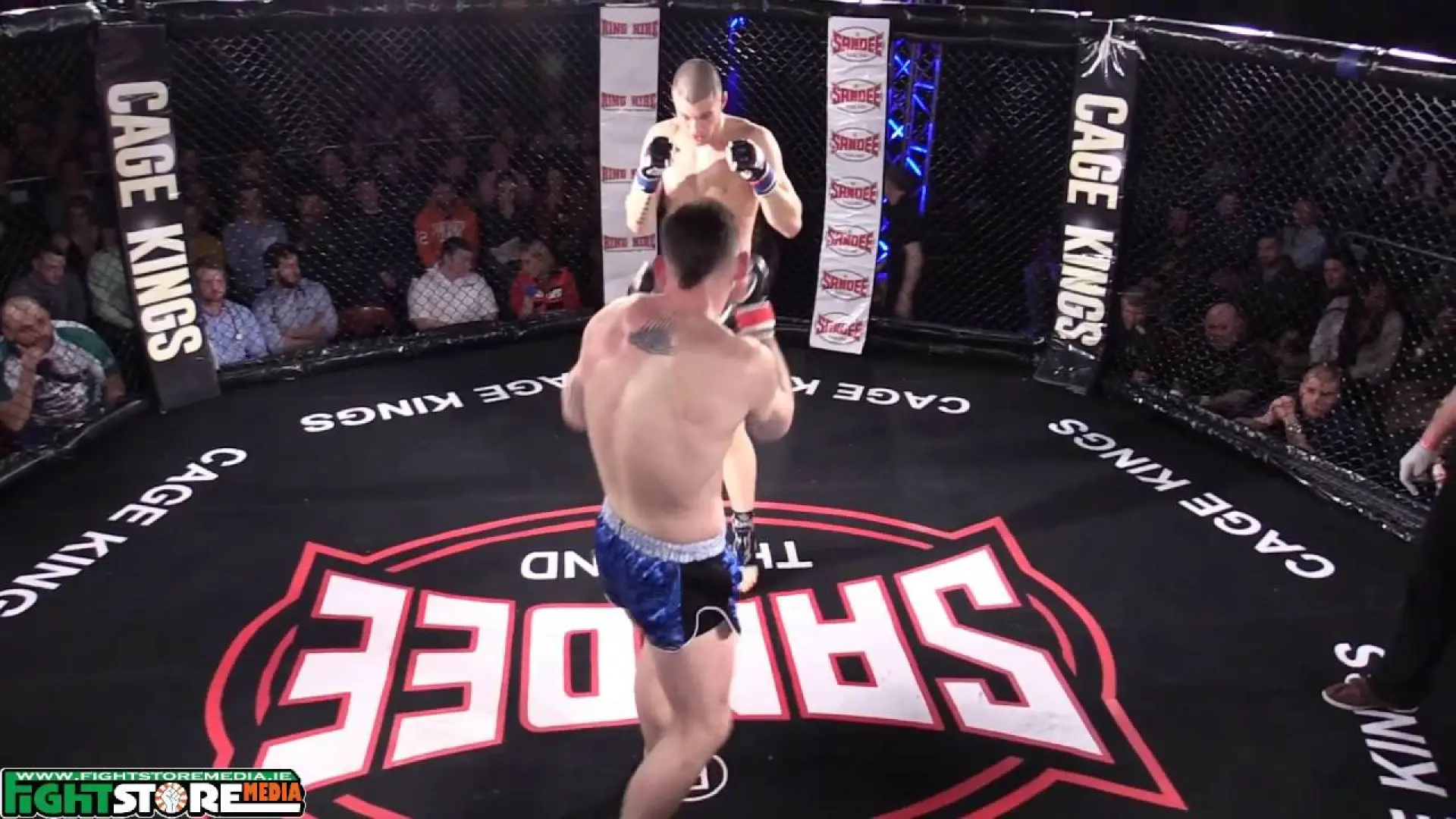 Gergo Bodis vs Wayne Grant